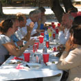Group of academics and policy makers gathered around a lunch table under the trees